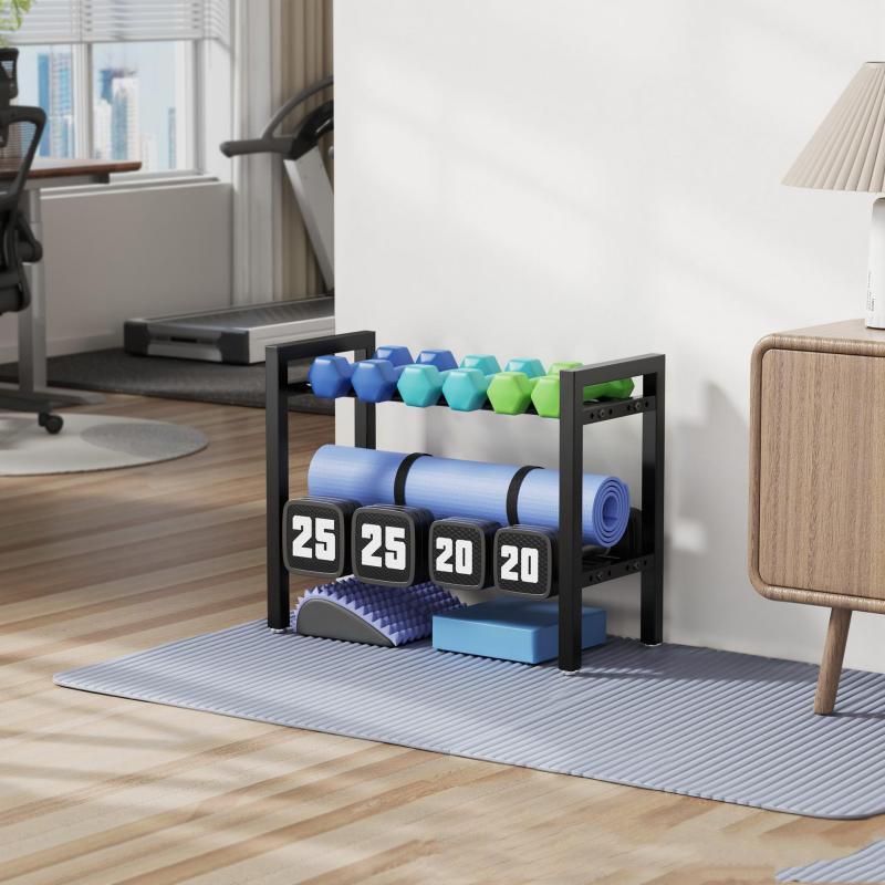 Adjustable Metal Dumbbell Rack - Sports Equipment Holder 评论和价格